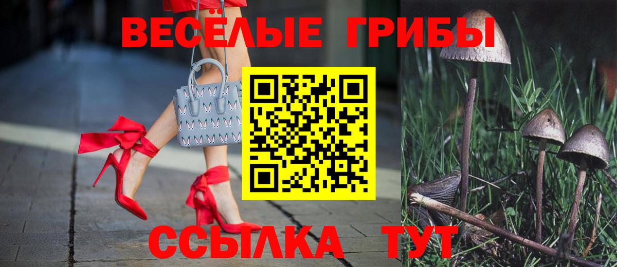 Псилоцибиновые грибы MAGIC MUSHROOMS  Галлюциногенные грибы Magic Shrooms  Великие Луки  Вход с VPN 